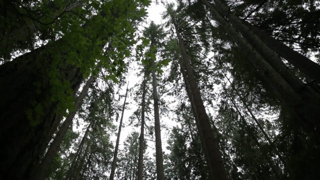 Sustainability Blog